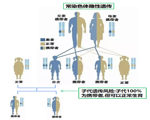 42岁女性借卵三代试管要多少钱，附费用一览！,权威供卵代孕机构